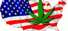 1305835433-us-medical-marijuana-laws-281x130