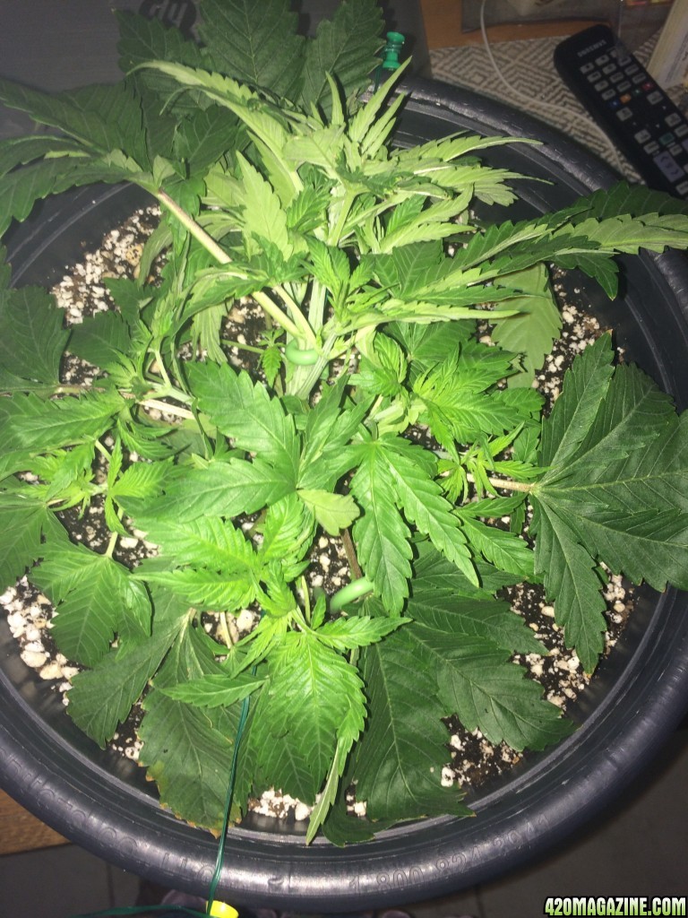 16-07-26 R2 Wk3 LST Training