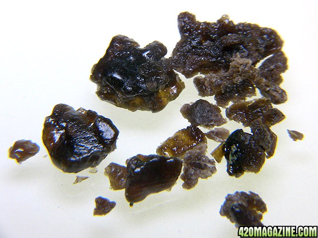 161_NIX_Skunk1BHO