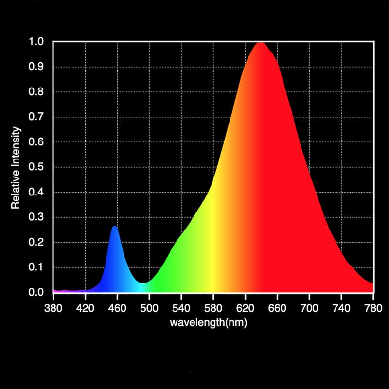 1750kspectrum COB vero29.jpg