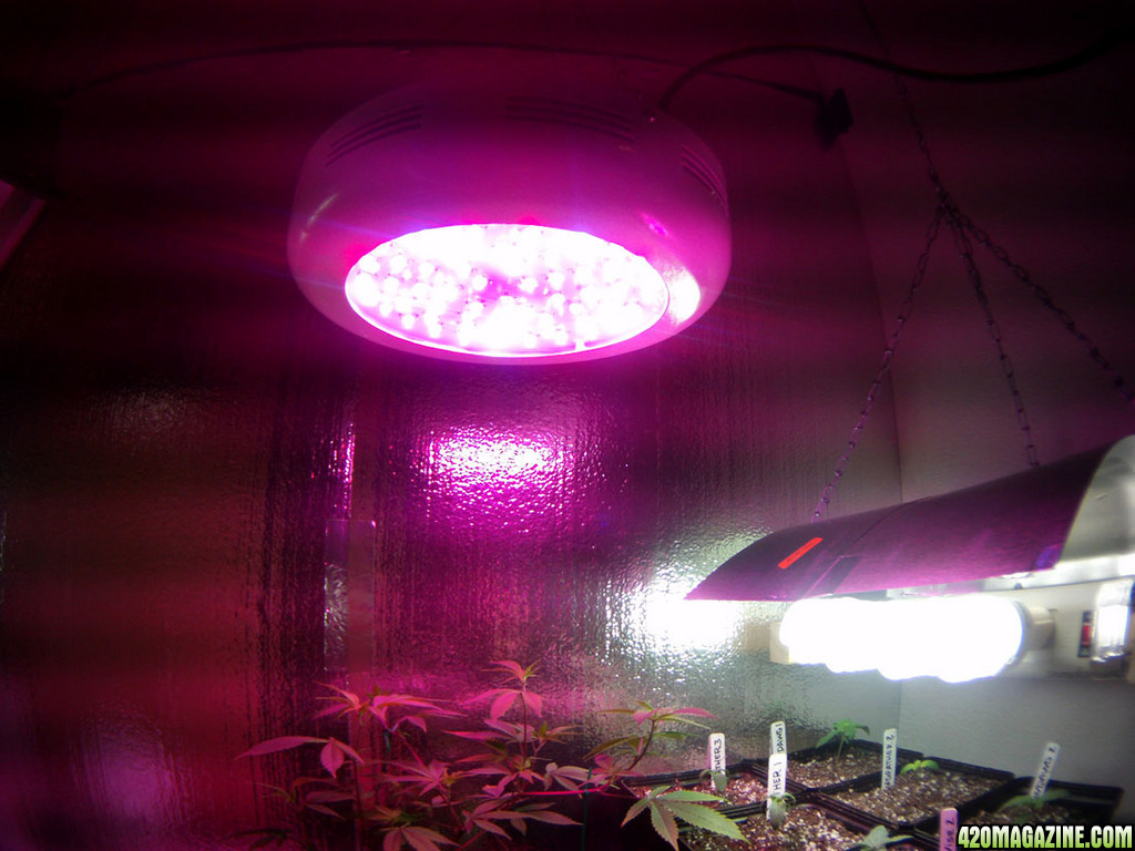 180 W LED UFO and CFL bank