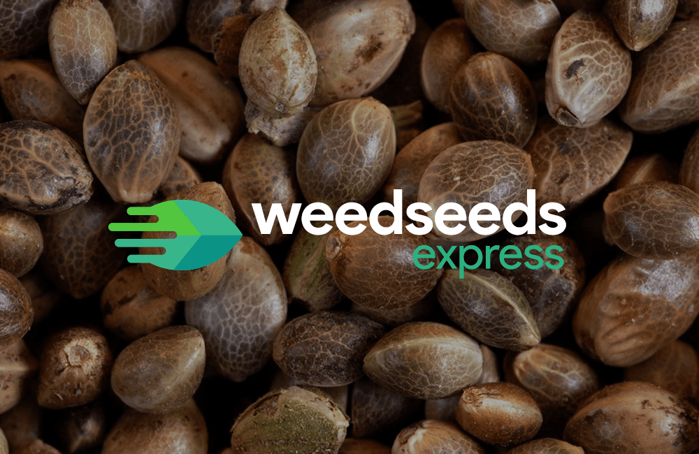 1853-weedseedsexpress.png