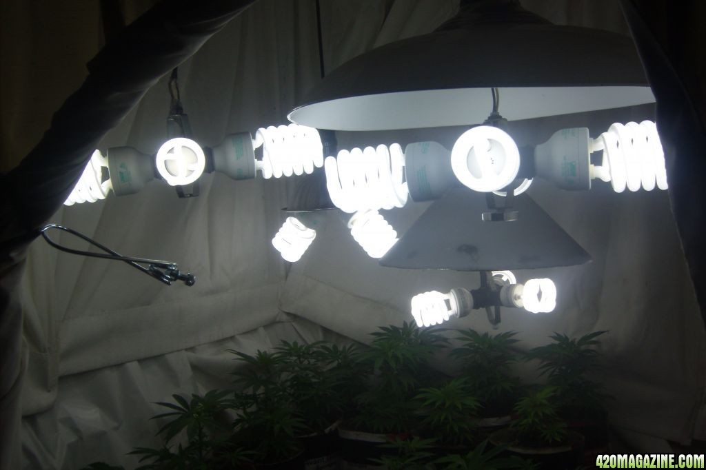 1_200_watt_CFL_s