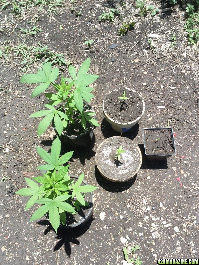 1ST LST