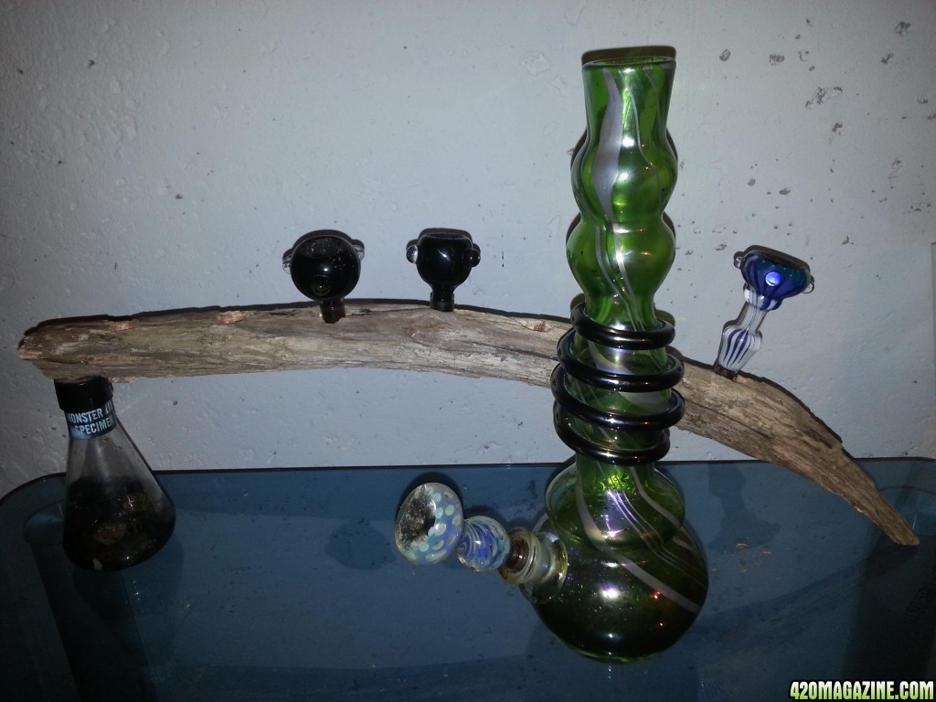 2 hour bowl holder