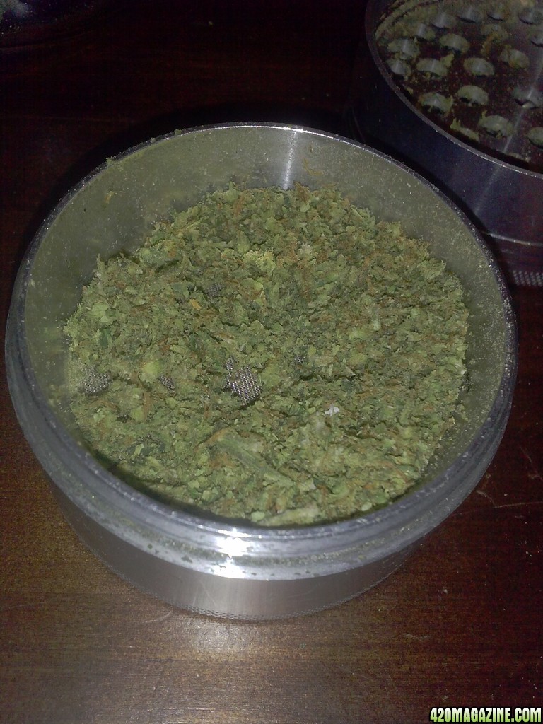 2 week cure #2