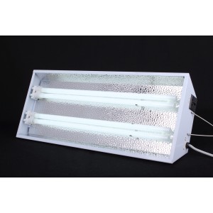 2-x-55w-starlite-fluorescent-light