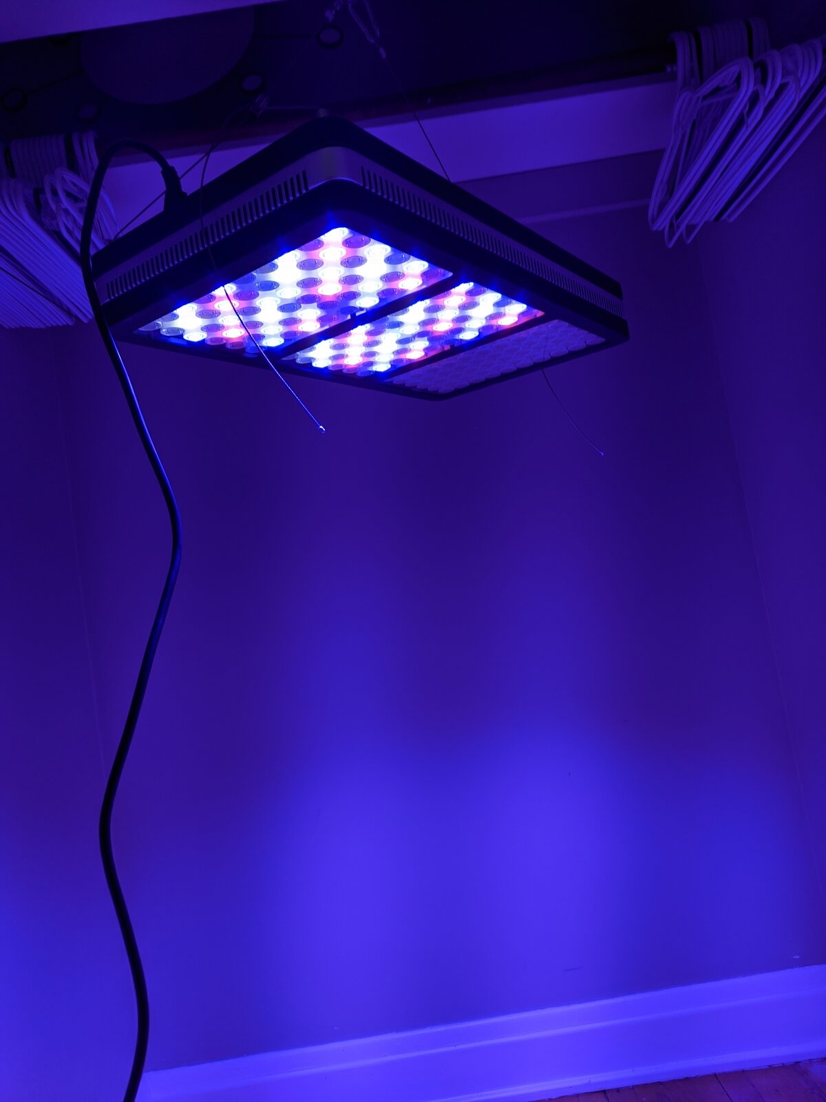 2000w LED Blue Light.jpg