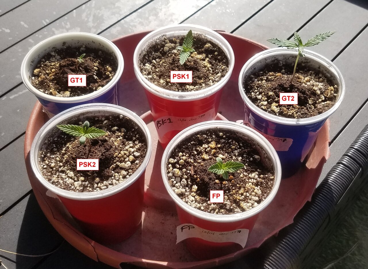 20191220_112157 Sprouts.jpg