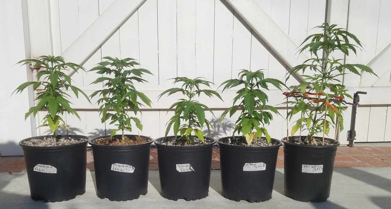 20210326_084616 Spring grow.jpg