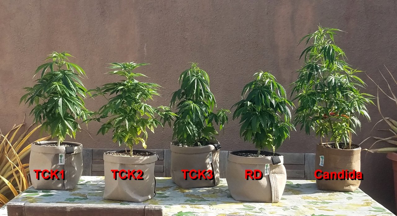 20210406_091456 Spring Grow.jpg