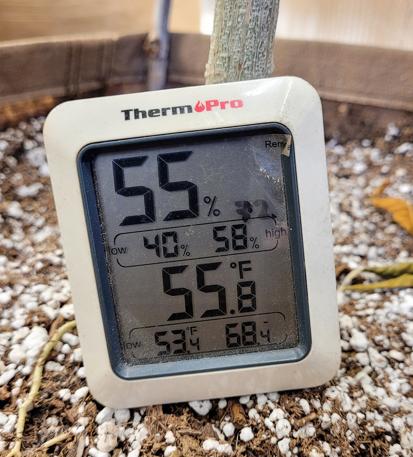 20211013_081357 Shed temps.jpg