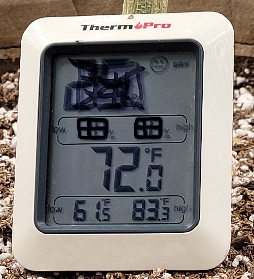 20211221_083151 shed temps.jpg