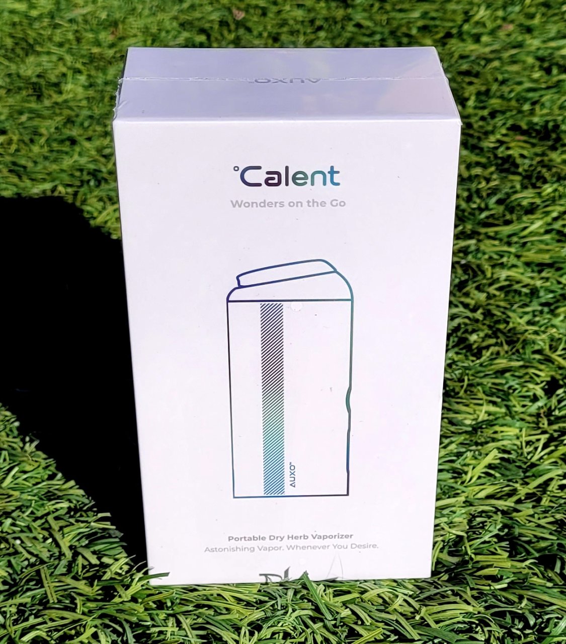 20230328_084315 Calent dry herb vaporizer.jpg