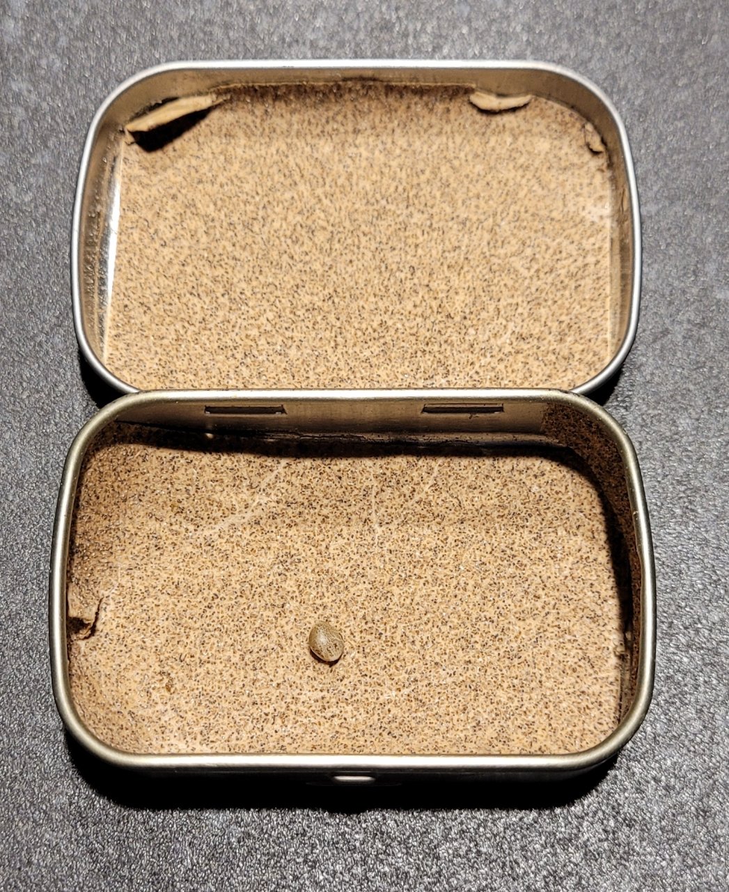 20231113_204823 Sandpaper seed tin.jpg