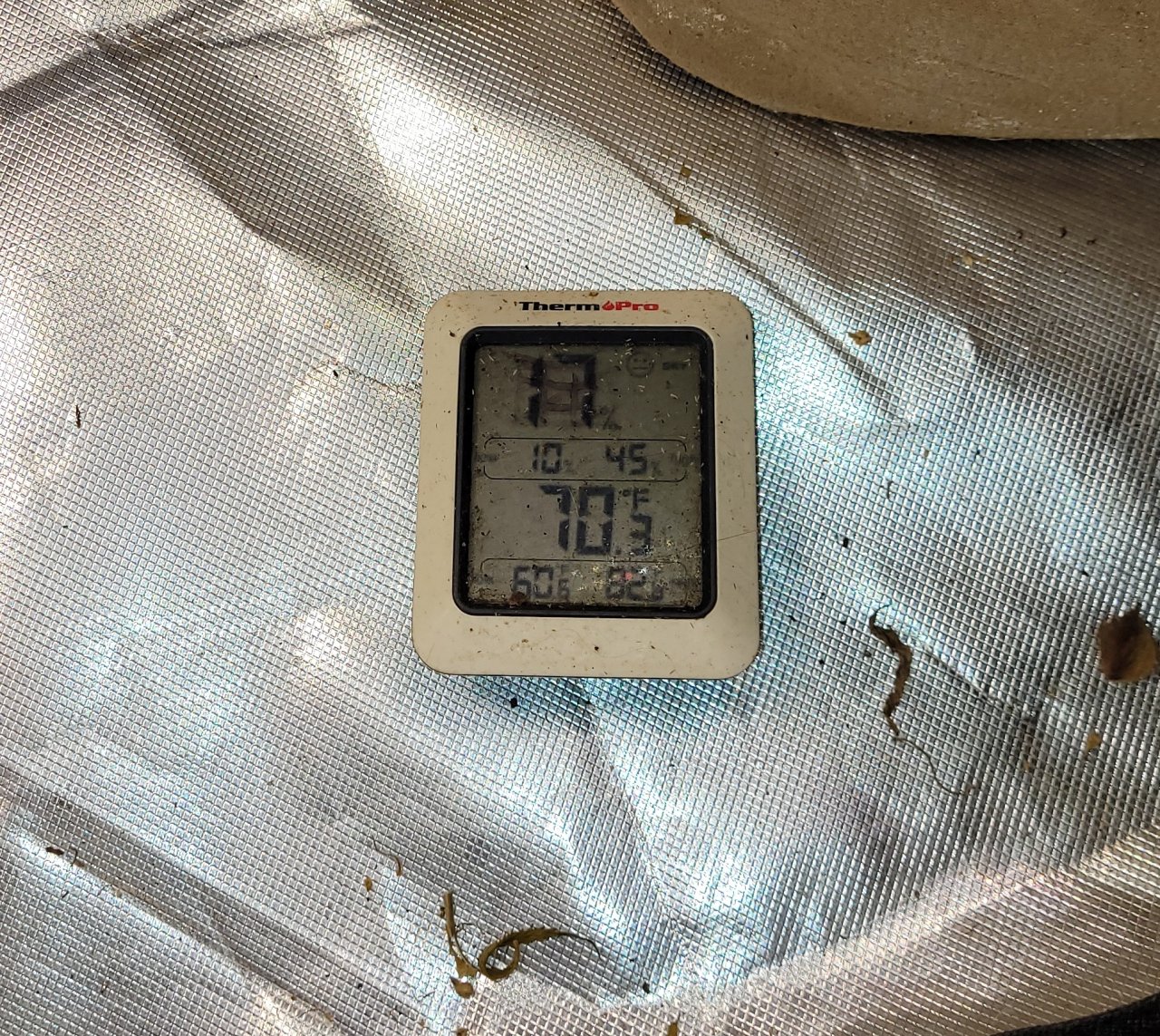 20231202_110822 tent temp.jpg