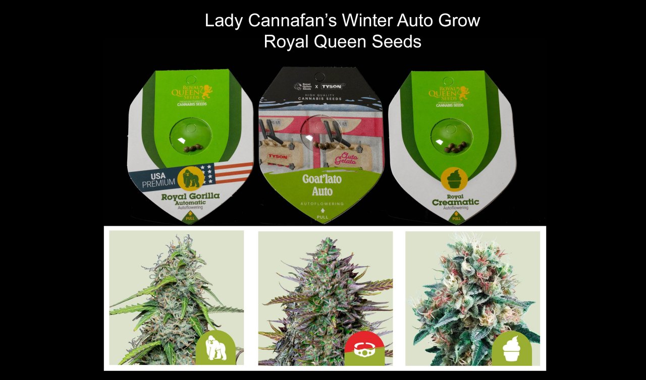 2024/25 Winter Weedy Wonderland Grow.jpg