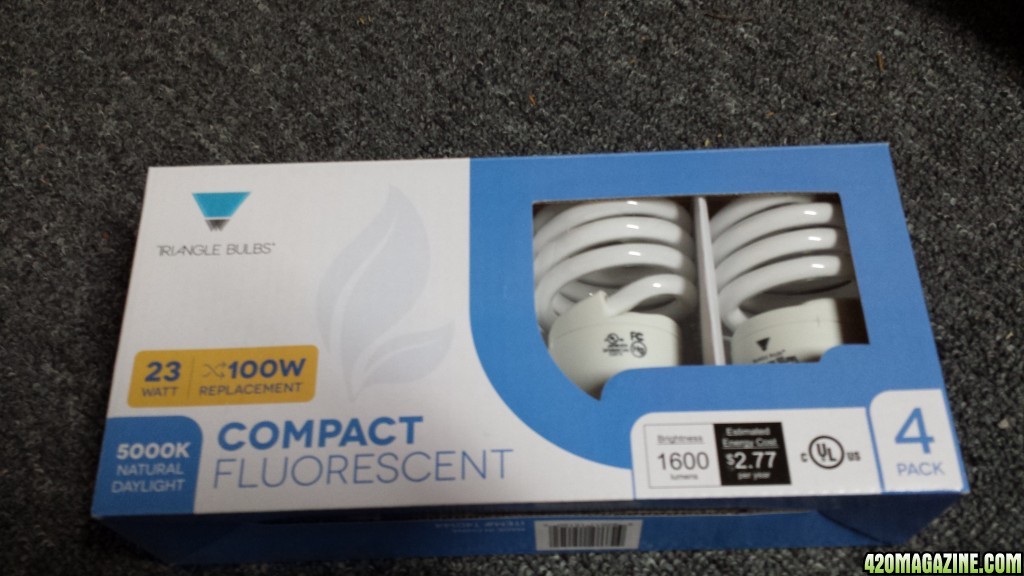 23 watt light bulbs 5000k