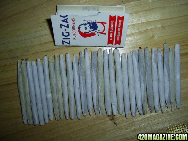 28joints