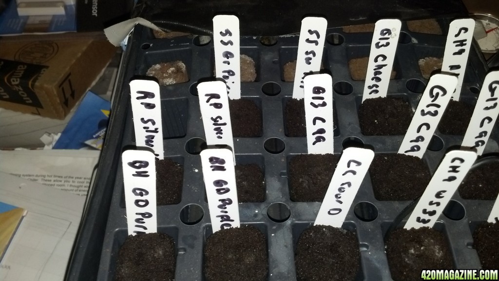 2nd Grow Journal Seed Starts