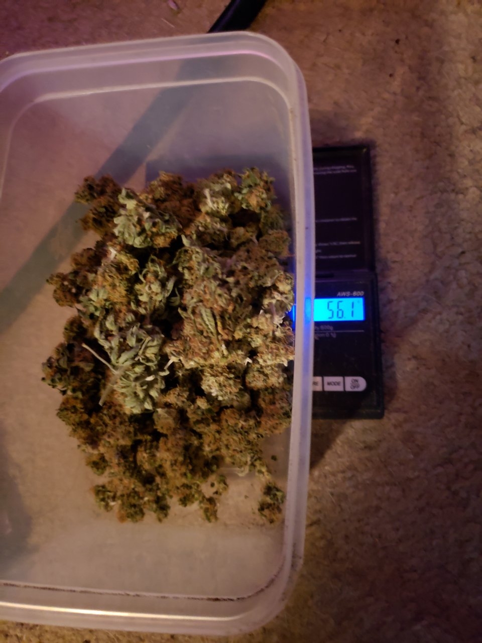 2ounces of primo HB Ice Cream buds