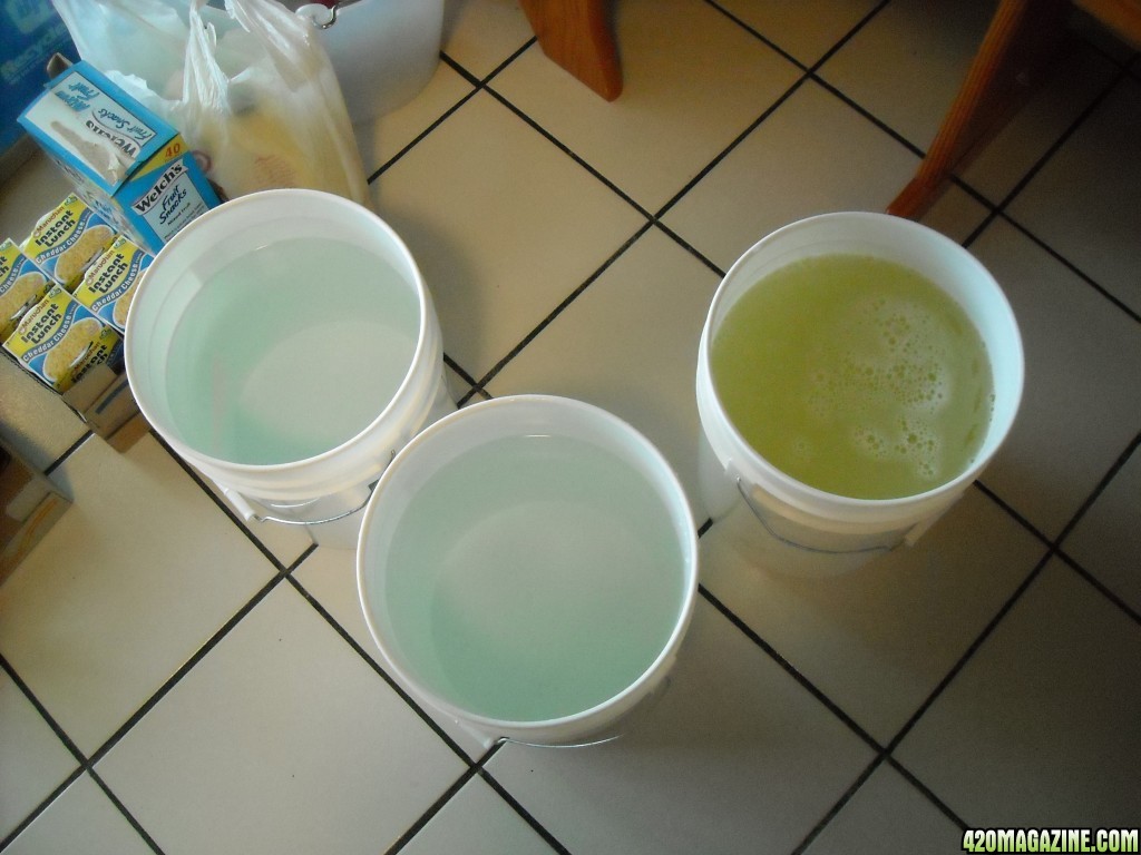 3 5-gallon bucket bud washing setup