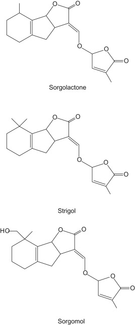 3-s2.0-B9780128021040000056-f05-05-9780128021040.jpg