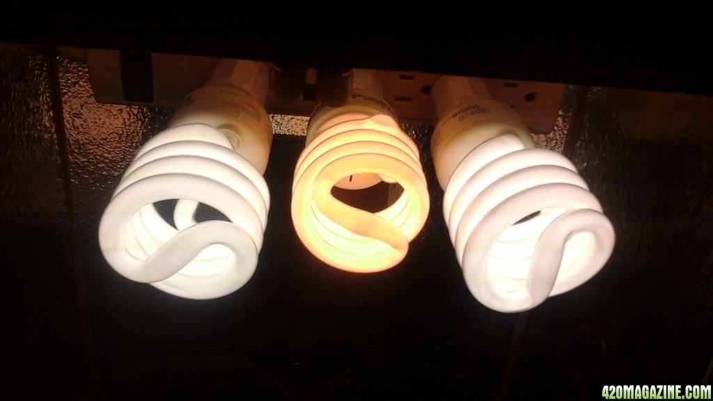 3 x 23w 5000K/2700K CFLs