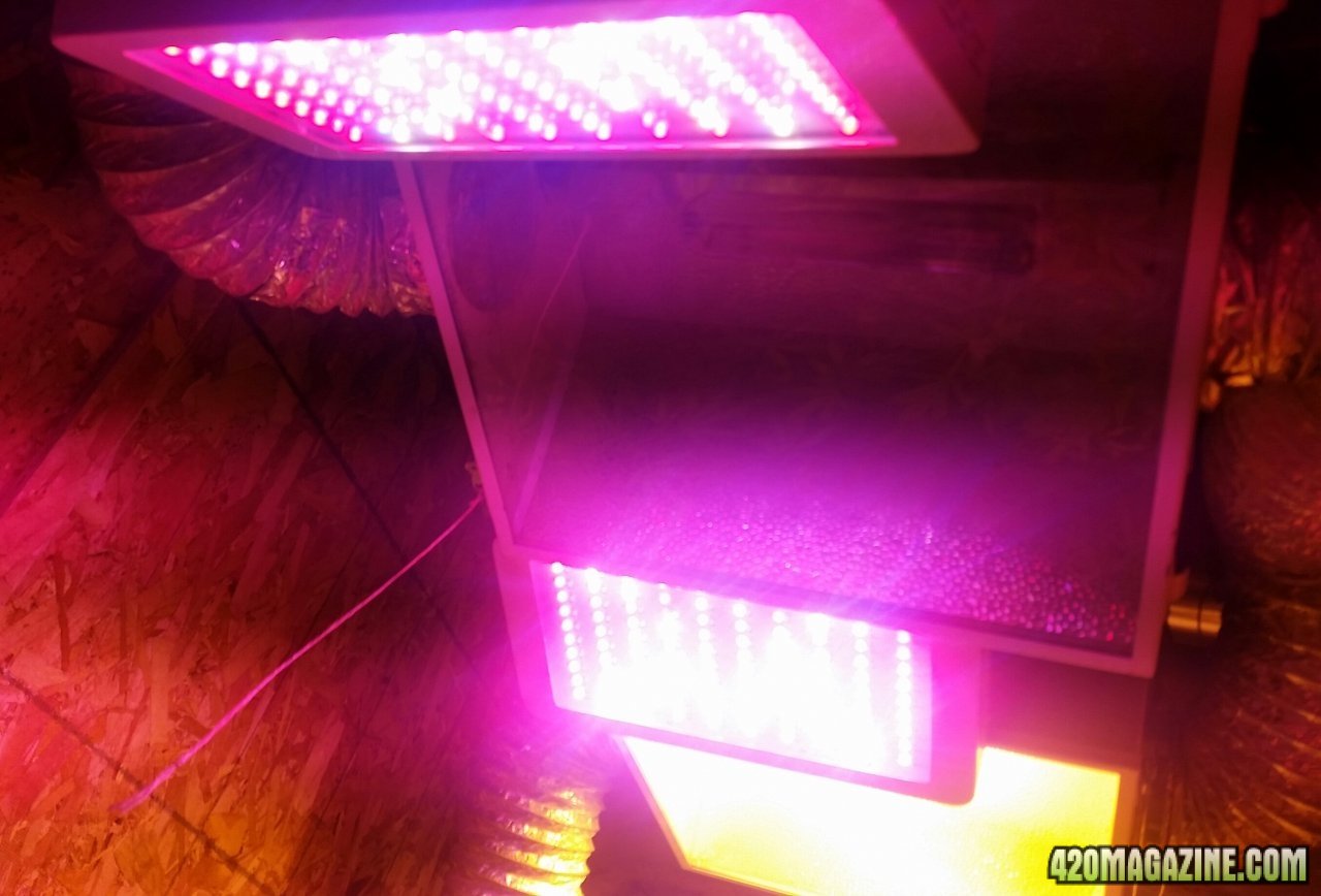 300w LED saddlebags on deceased HPS