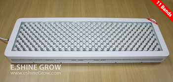 300x3w LED