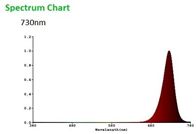 31cm-rdWobL._AC_.jpg