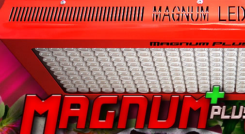 357magnumLED_Logo