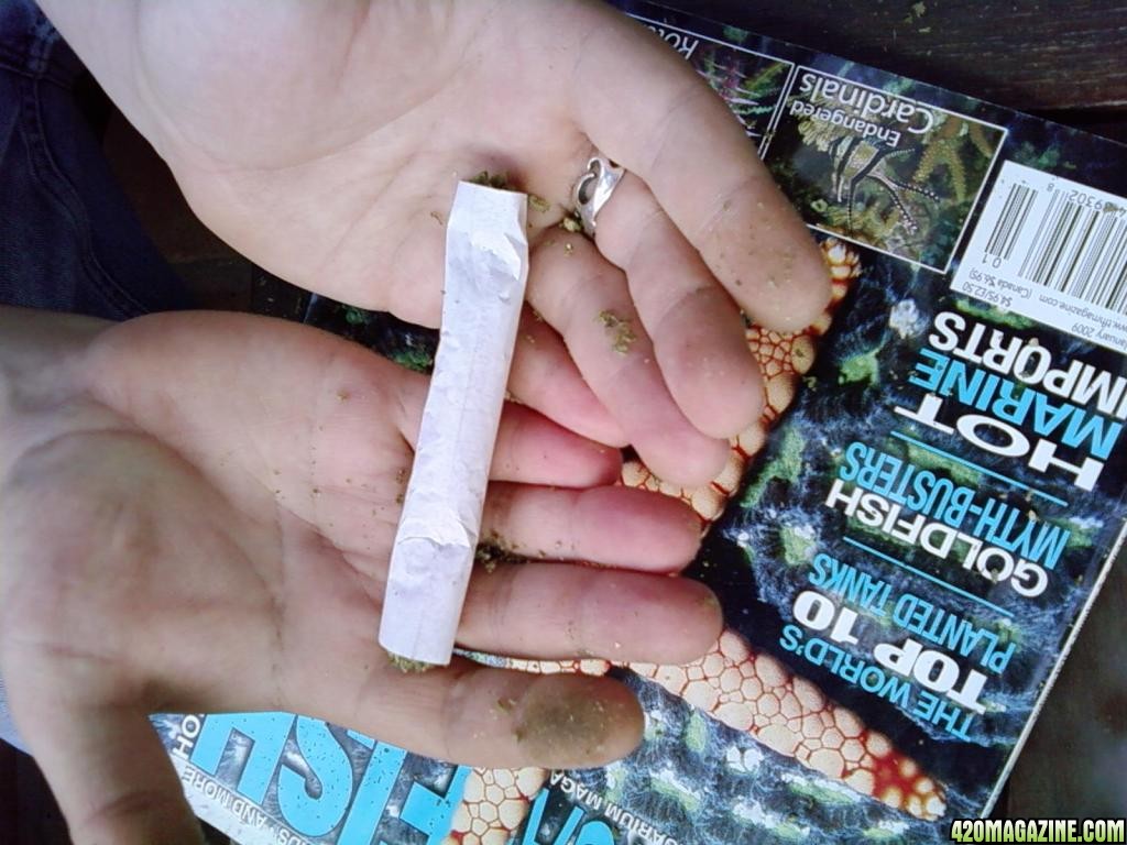 3g Joint of Chronic