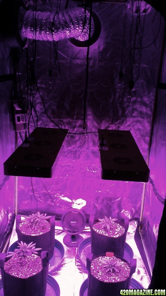 4 X 4 Grow Tent