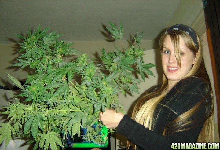 420 Girl