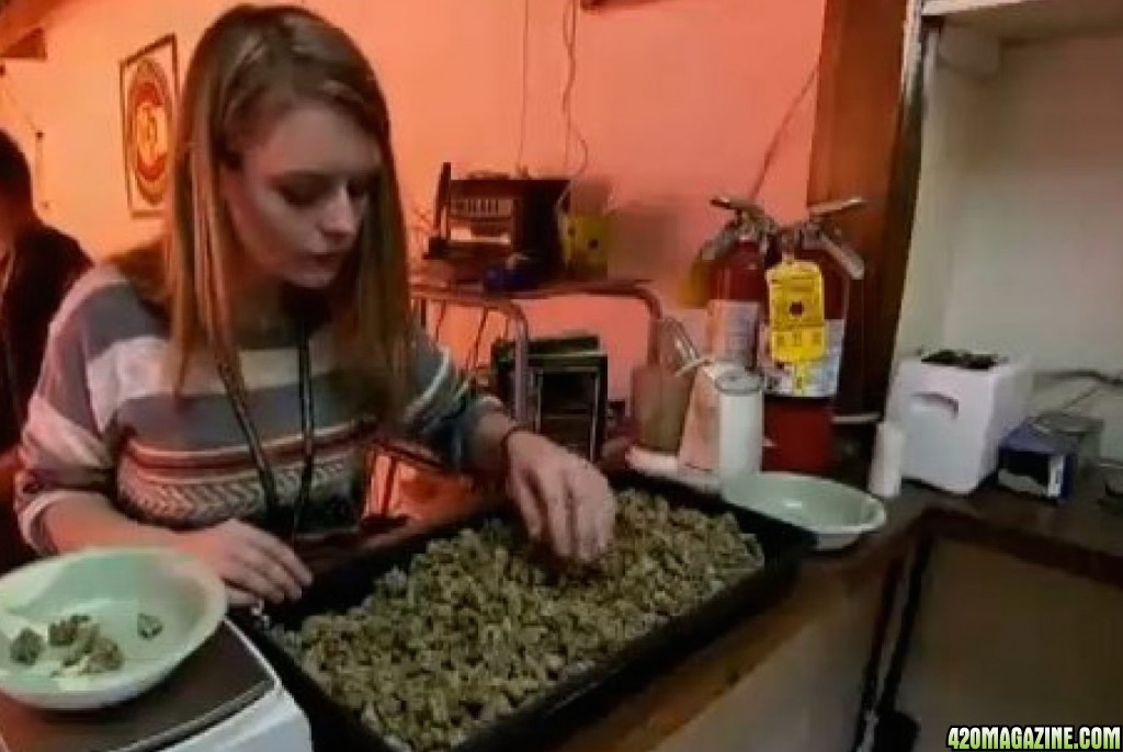 420 Girl