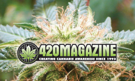 420 Magazine