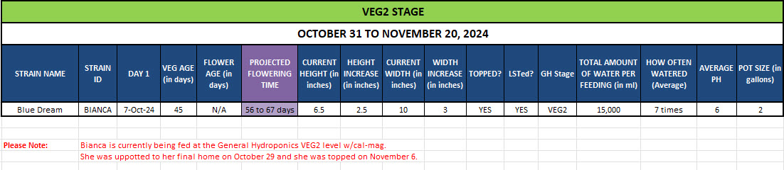 420 Update for Bianca - October 31 to November 20, 2024.jpg