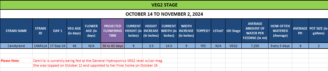 420 Update for Camilla - October 14 to November 2, 2024.jpg