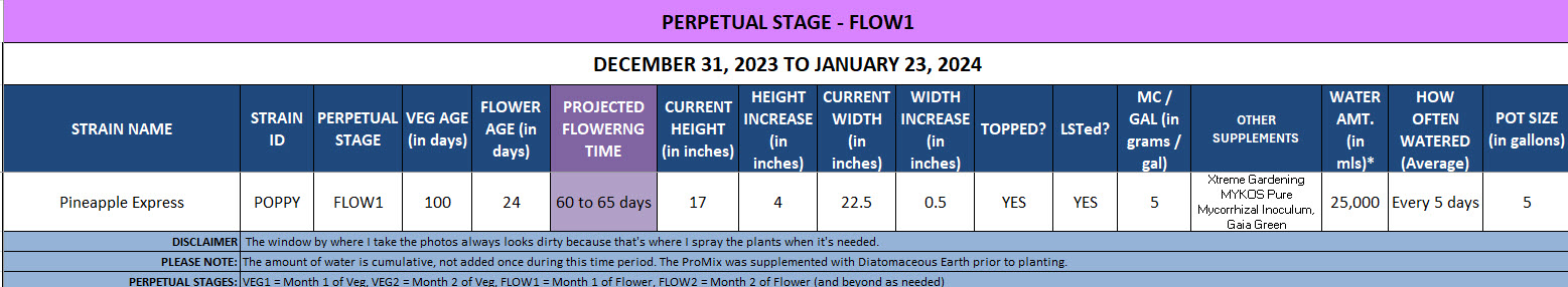 420 Update for Poppy - December 31, 2023 to January 23, 2024.jpg