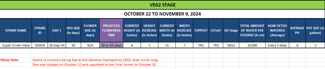 420 Update for Super Silver Haze - October 22 to November 9, 2024.jpg