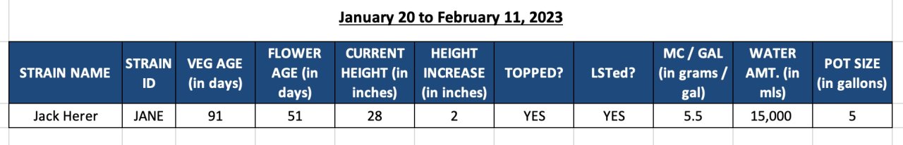 420 Update - Jack Herer1 - January 20 to February 11, 2023.jpg