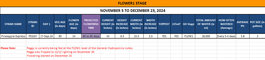 420 Update - November 5 to December 23, 2024.jpg