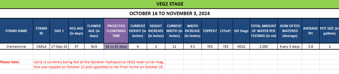 420 Update - October 16 to November 3, 2024.jpg