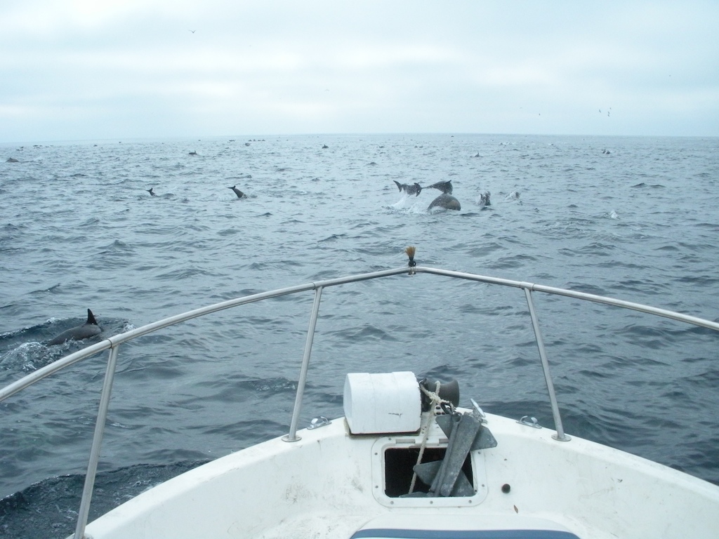 420_Fishing_Catalina_Island_573