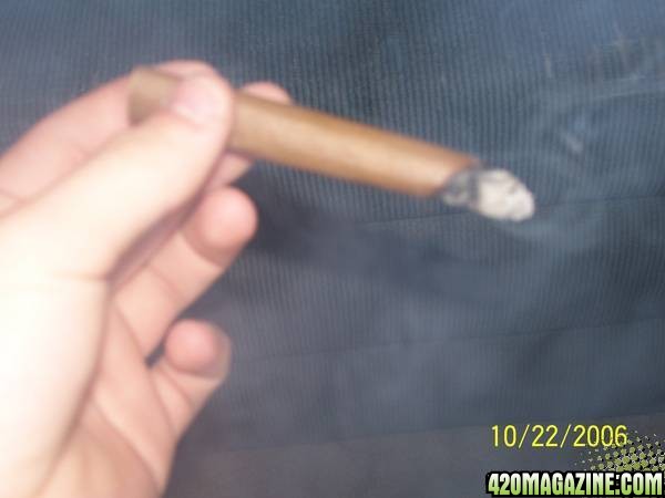 420am&pm's Blunt