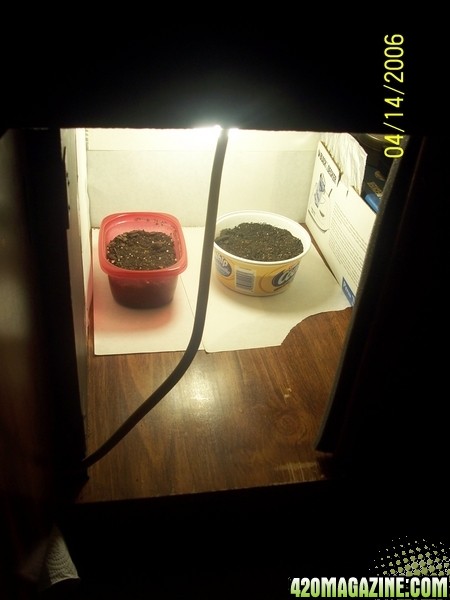 420am&pm's grow