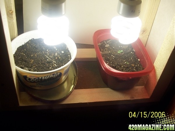 420am&pm's grow