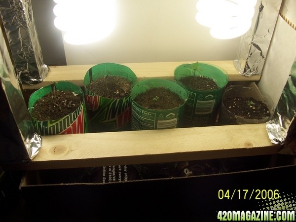 420am&pm's grow