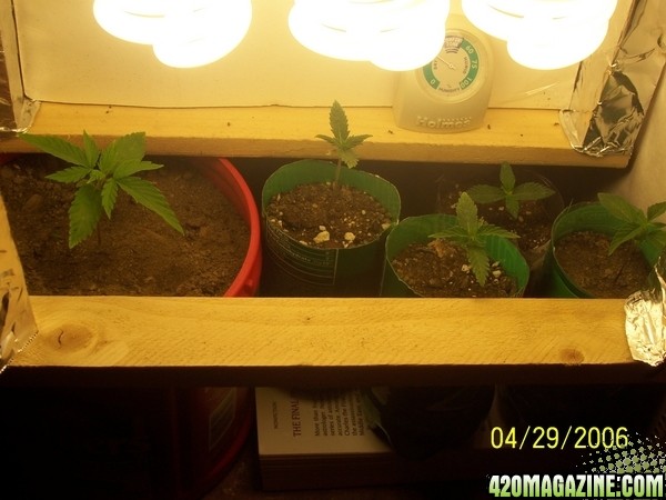 420am&pm's grow